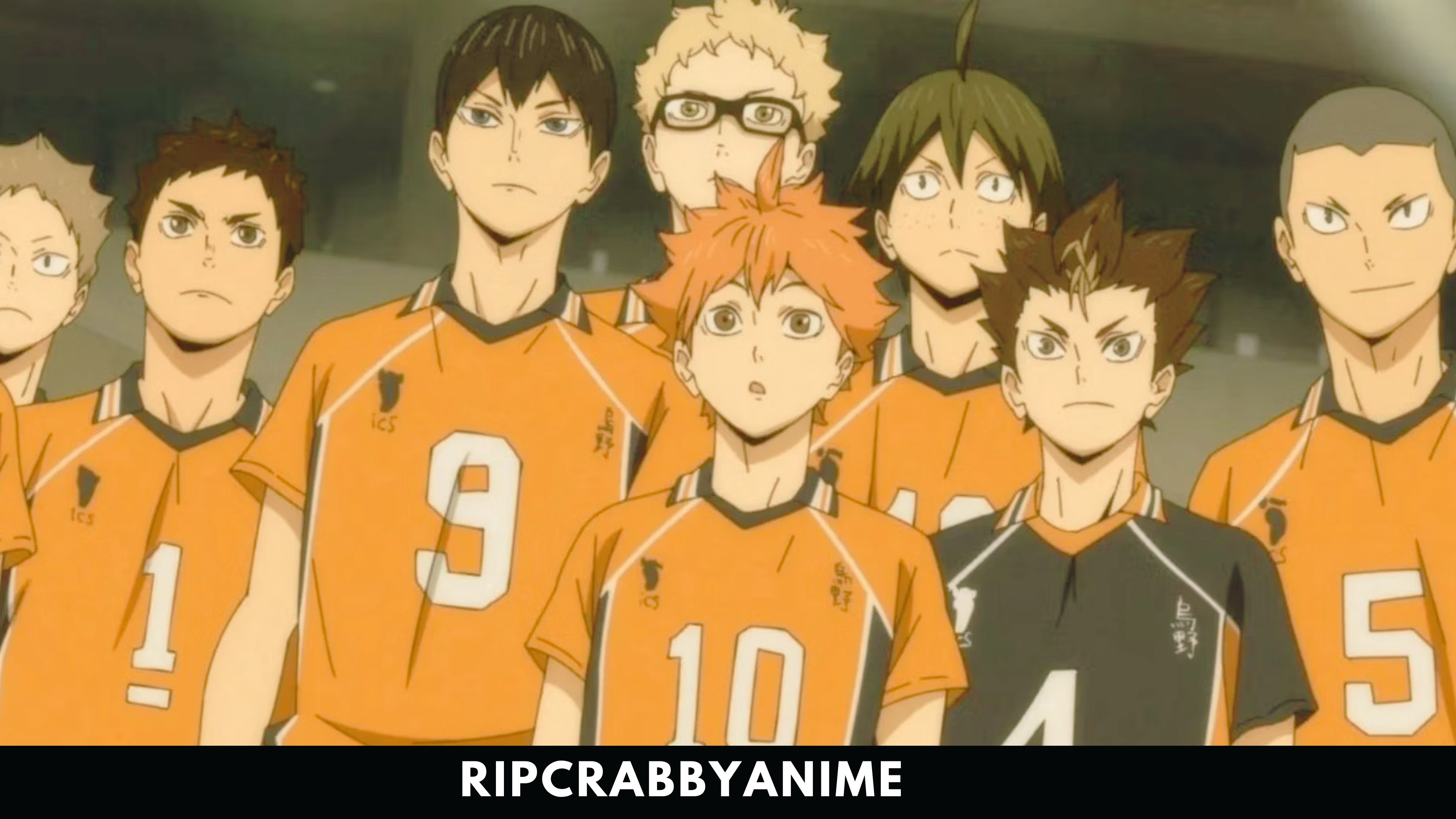 Haikyuu!! (Season 1-4 + Movie + OVAs) 1080p Dual Audio