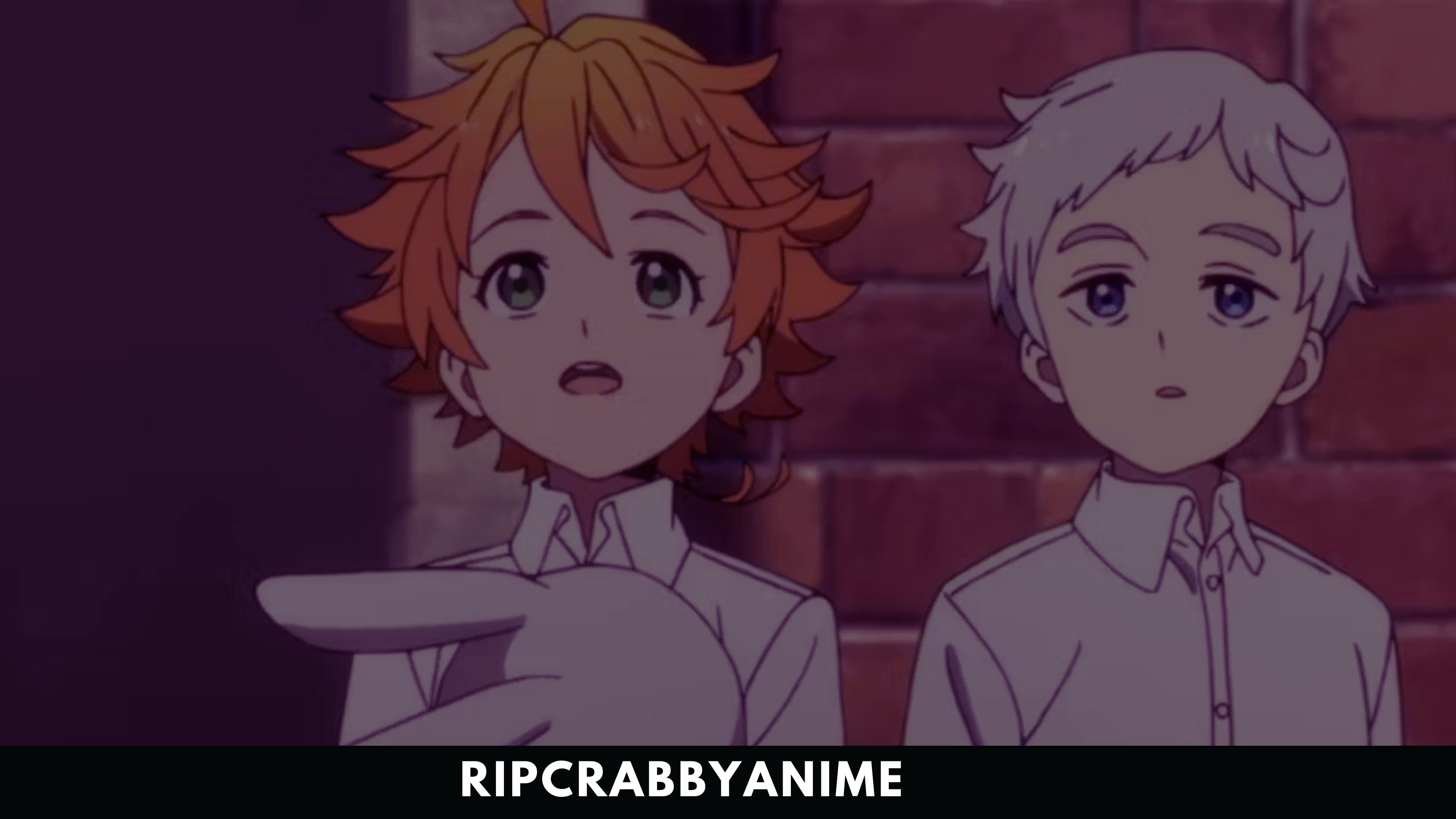 The Promised Neverland (Yakusoku no Neverland) (Season 1-2 + Special) 1080p Dual Audio